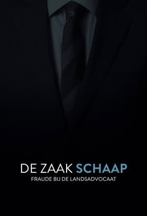 De Zaak Schaap: fraude bij de landsadvocaat