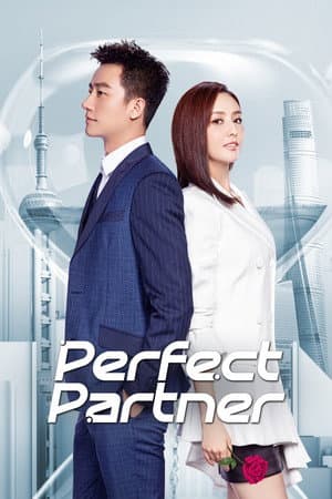 Perfect Partner
