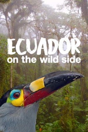 Ecuador: On the Wild Side
