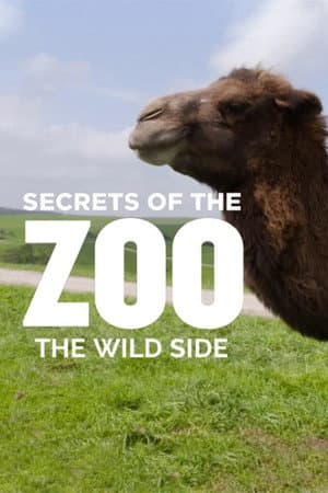 Secrets of the Zoo: The Wild Side
