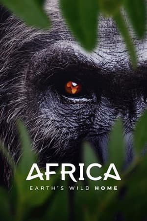 Africa Earth's Wild Home