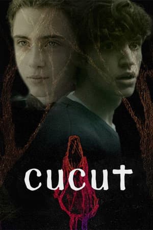 Cucut