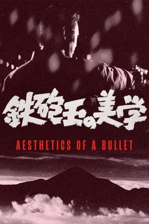Aesthetics of a Bullet