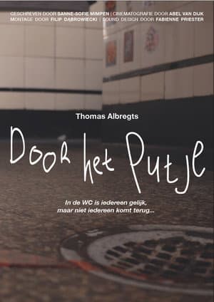Door het putje