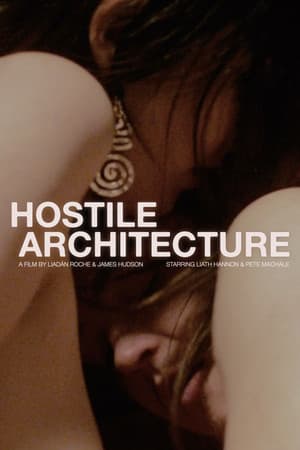 Hostile Architecture