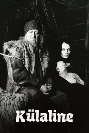 The Visitor