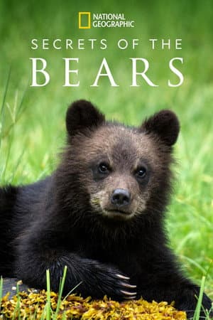 Secrets of the Bears