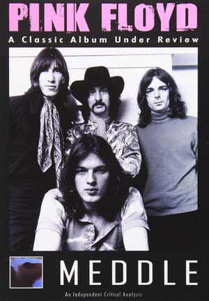 Pink Floyd: Meddle - A Classic Album Under Review
