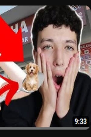 Comi uma chinesa