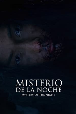 Mystery of the Night