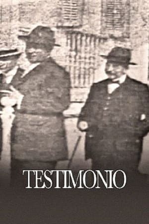 Testimonio (Historia)