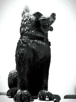 The Dog of Sarandi Alley