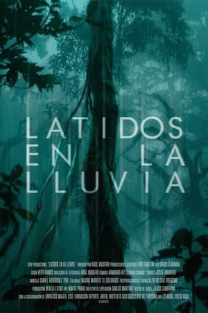 Latidos en la lluvia