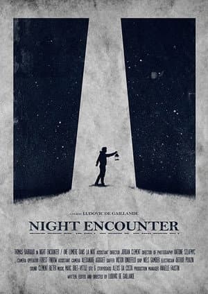 Night Encounter
