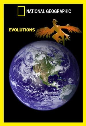 National Geographic Evolutions