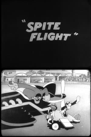 Spite Flight