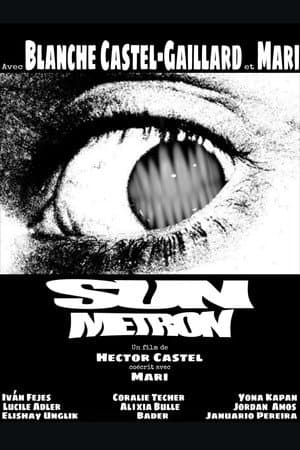 Sun Metron