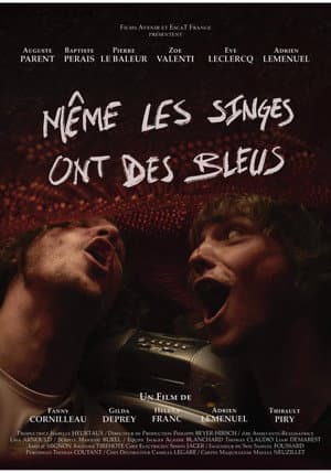 Même les singes ont des bleus
