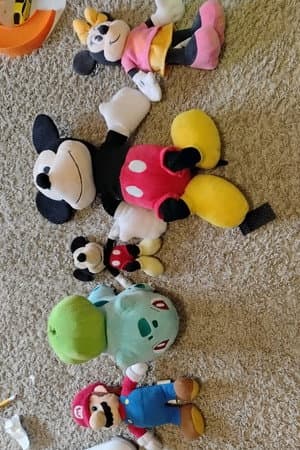 Small Mickey Mouse