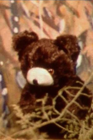 Little Bear Story
