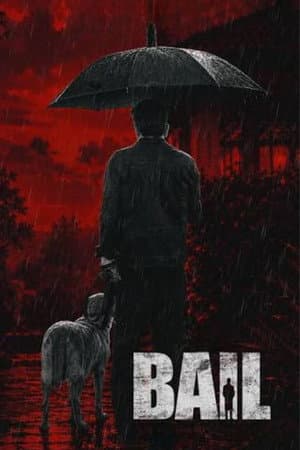 Bail