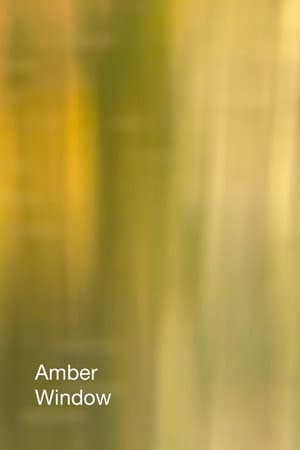 Amber Window