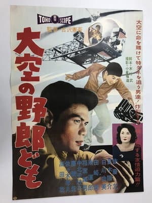 Reporters from the Sky