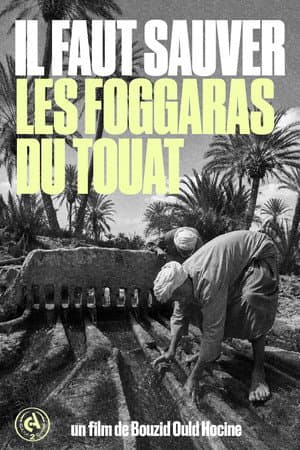 We Must Save the Foggaras of Touat