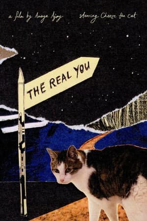 The Real You