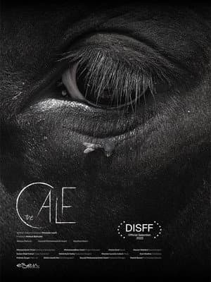 The Calf