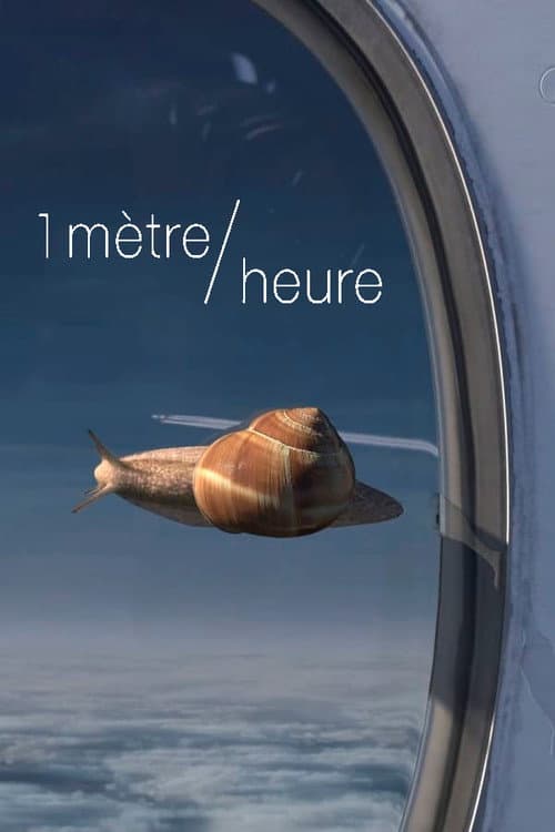 1 meter/hour
