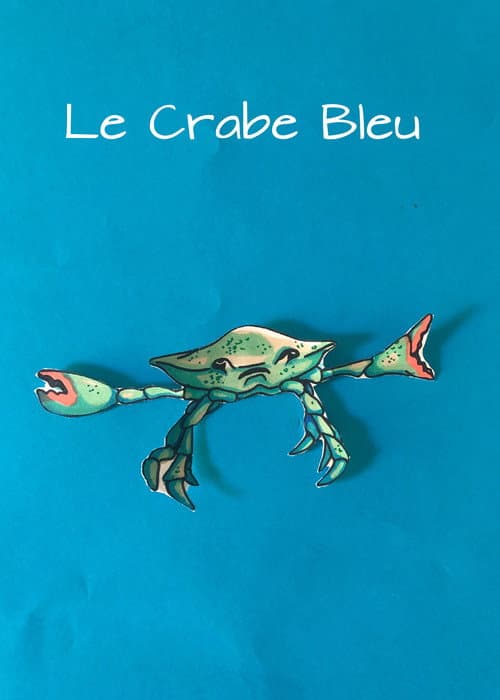 Blue Crab