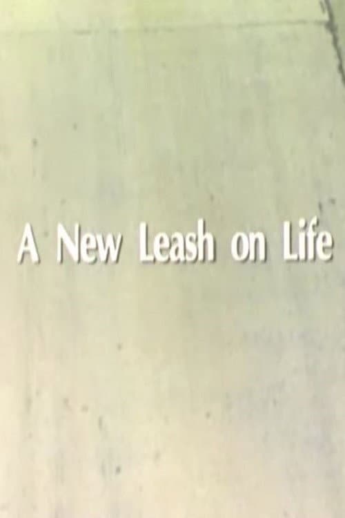 A New Leash On Life