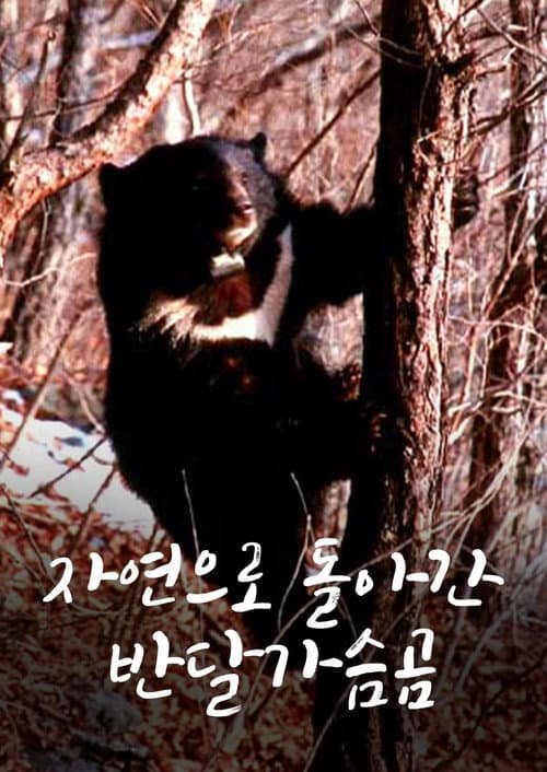 자연으로 돌아간 반달가슴곰