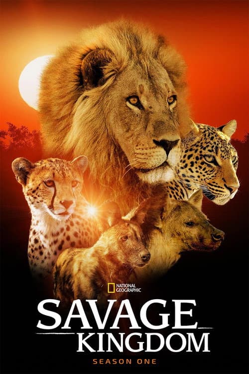 Season 1