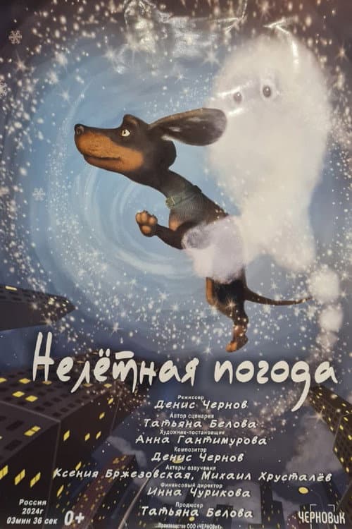 Нелётная погода