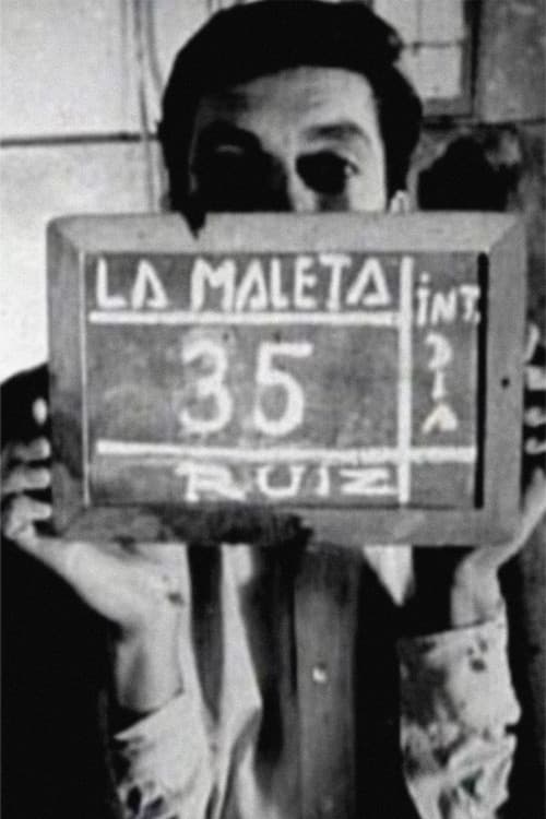 The Suitcase