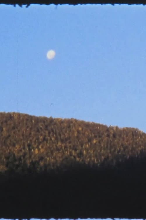 El Manso