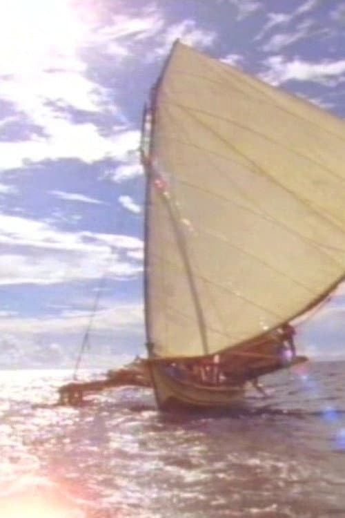 The Last Navigator