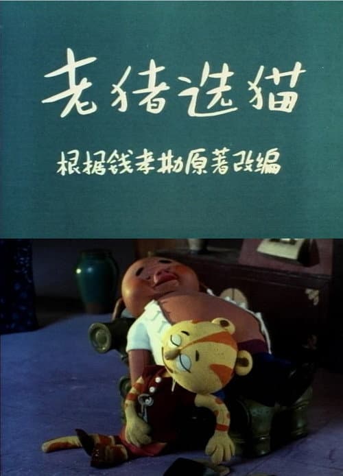 老猪选猫
