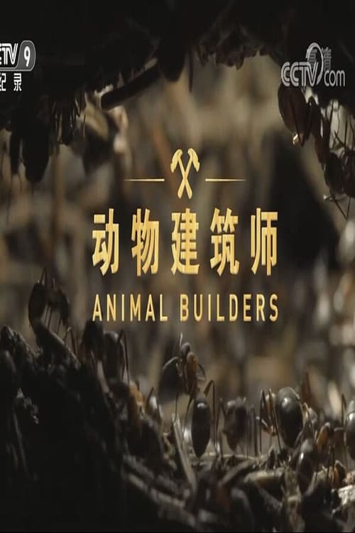 动物建筑师