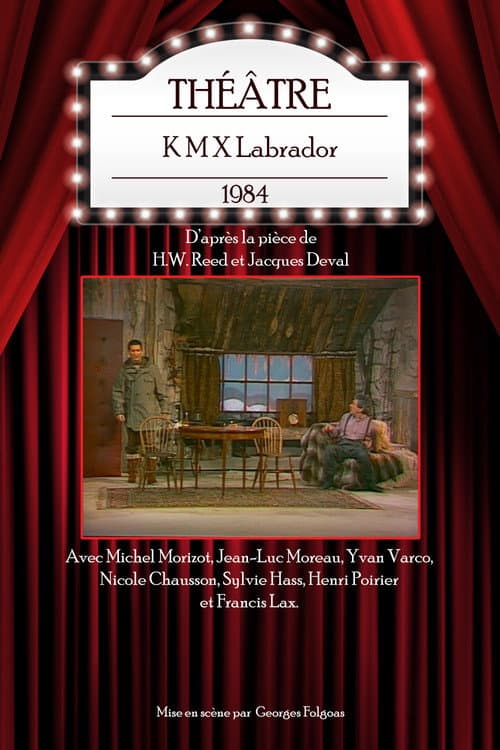 K M X Labrador