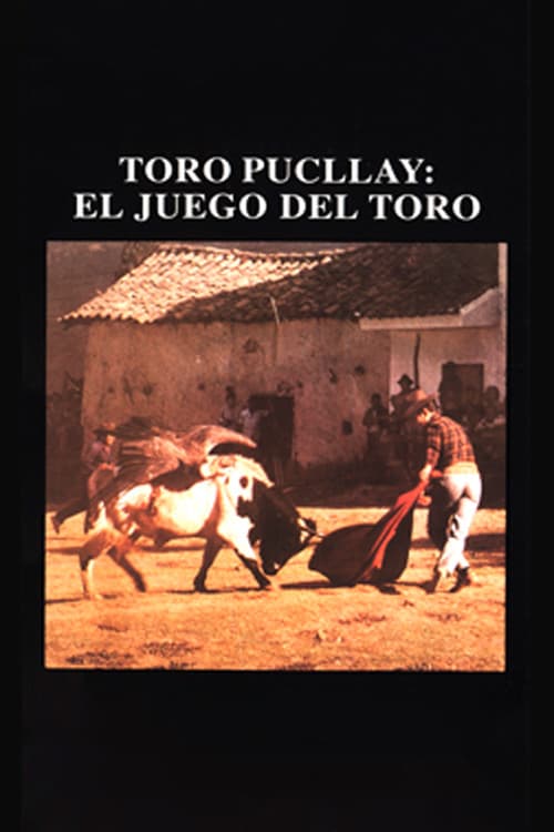 Toro Pucllay