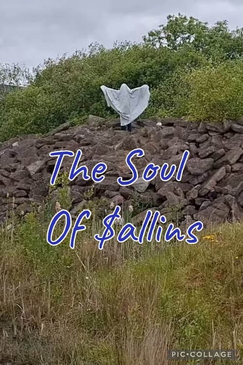 The Soul Of Sallins