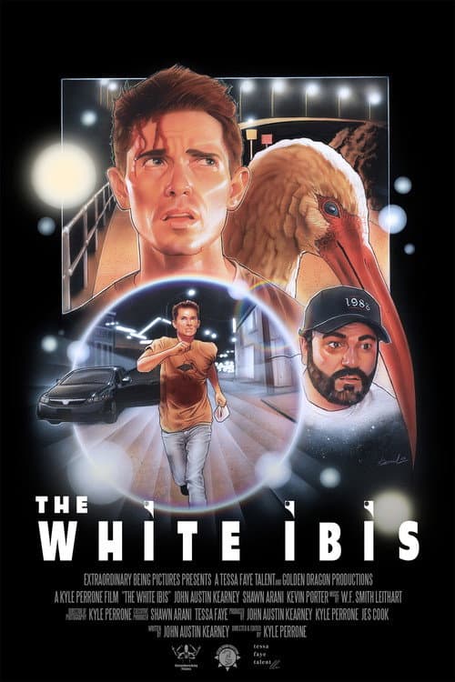 The White Ibis