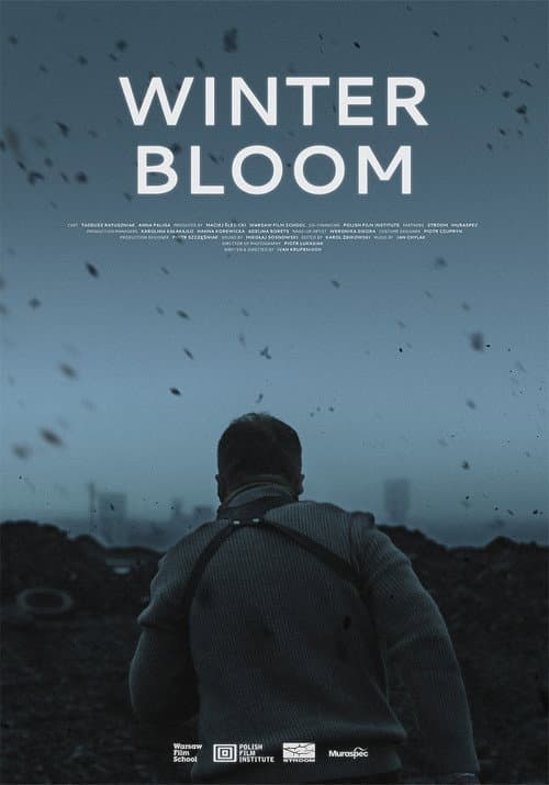 Winter Bloom