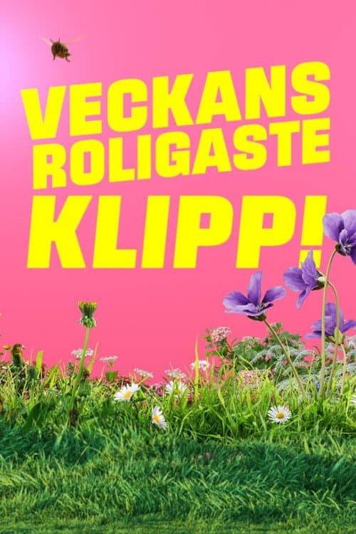 Veckans roligaste klipp