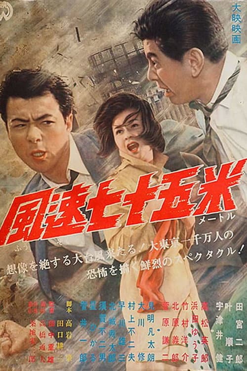 Typhoon Reporter