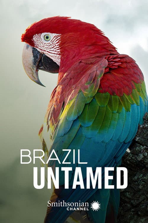 Pantanal
