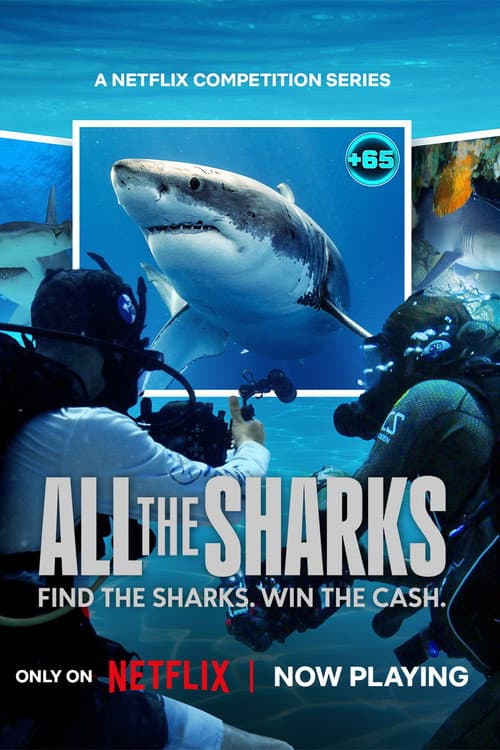All the Sharks